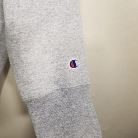 NWT Champion Hoodie Logo Sweatshirt Pullover Gray Size 4X - Picture 3 of 7